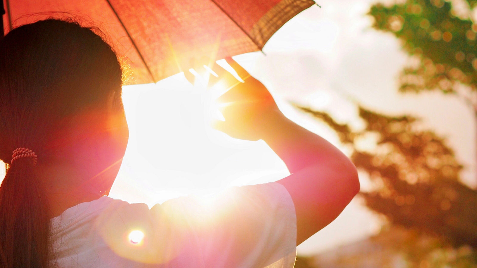 How to stay safe in the heat this summer?